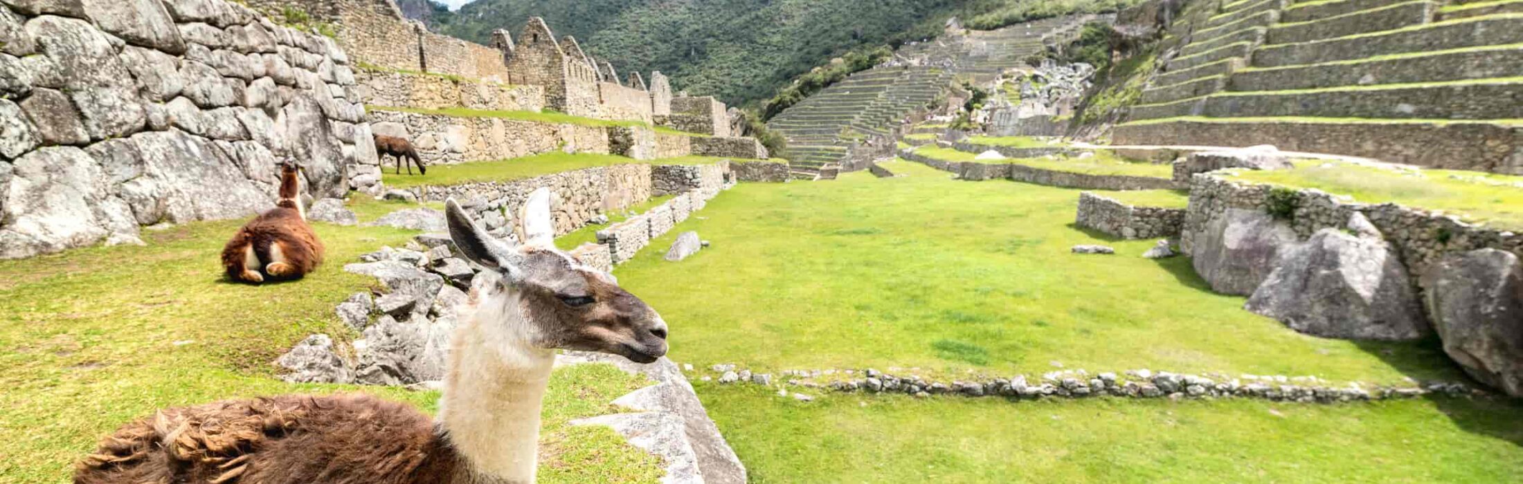 Trek Along the Inca Trail