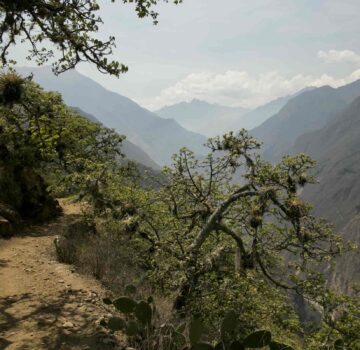 TREK CHOQUEQUIRAO 4 DAY AND 3 NIGTH