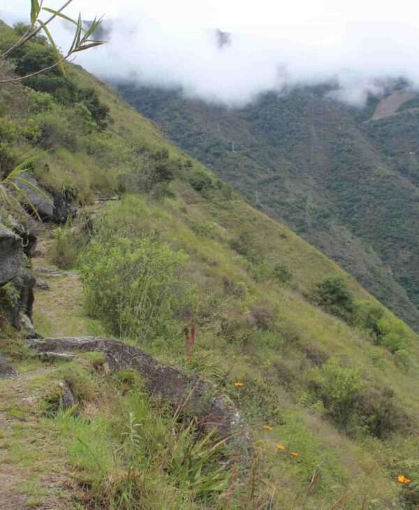 INKA JUNGLE 3 DAYS AND 2 NIGTH